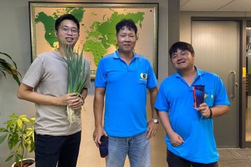 Powerful Typhoon Strikes, Green Onion Farmers Praise: Big Profits with RichFarm!