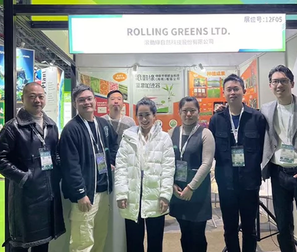 Rolling Greens Shining Bright - Shanghai International Agricultural Expo